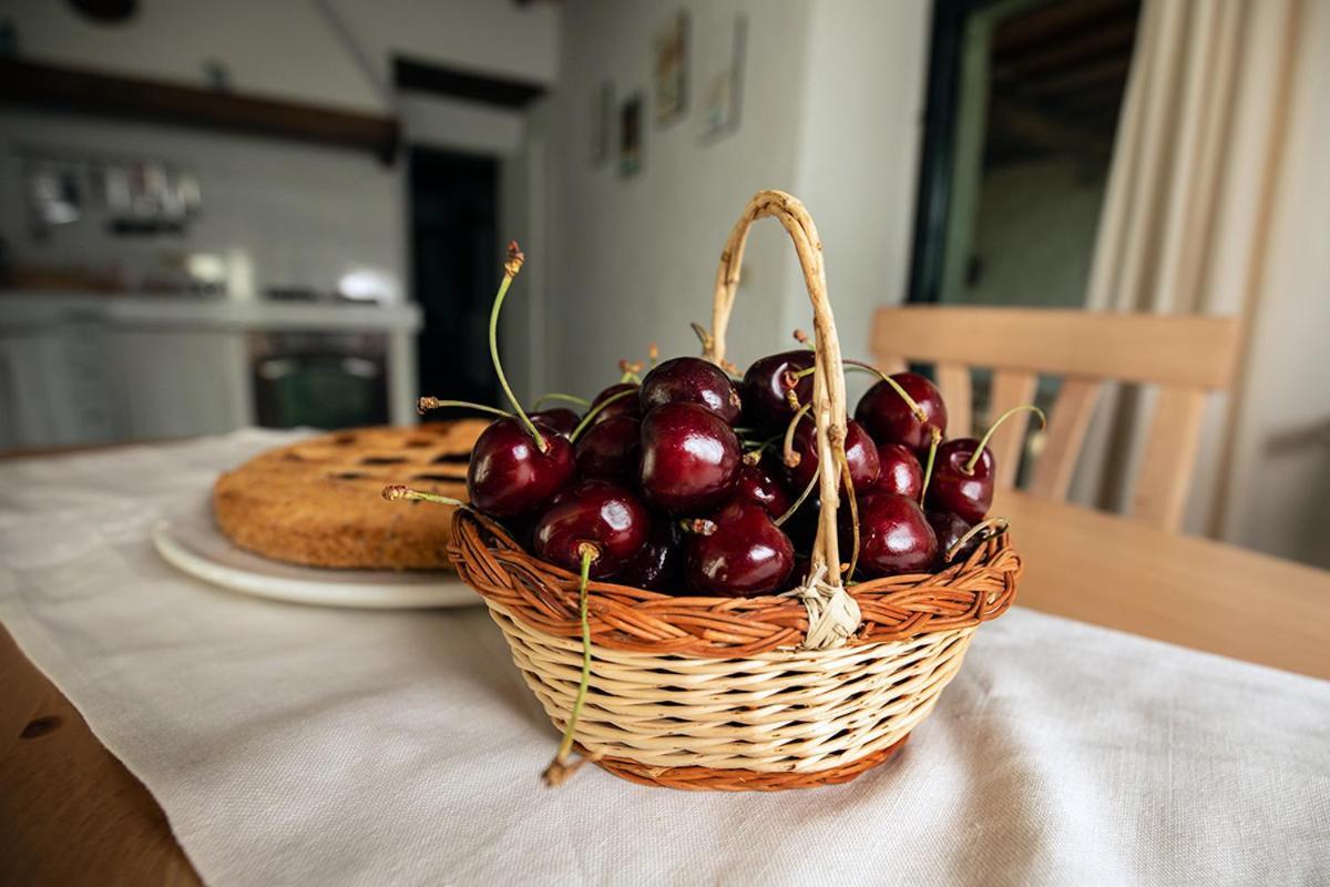 Piancasalemia Apartman Londa Kültér fotó